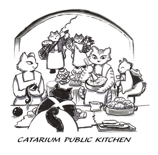 1.cat-kitchin.jpg