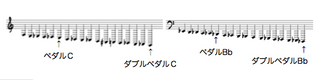 572550554_237.jpg