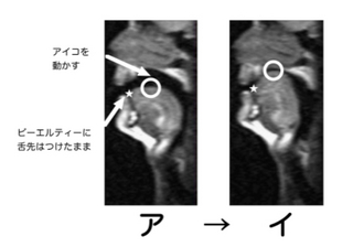 a.jpgのサムネール画像