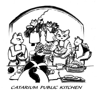 1.cat-kitchinjpg.jpg
