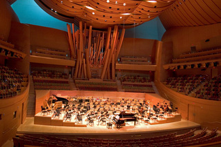 gehry_waltdisney_concerthall_inner.jpg