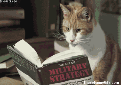 catread.gif