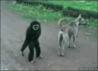 34.kenennonaka.gif