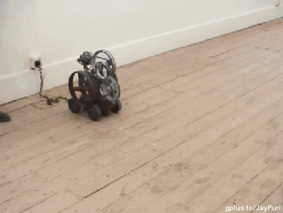 36.kozokekkan.gif