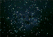 39.nagareboshi.gif