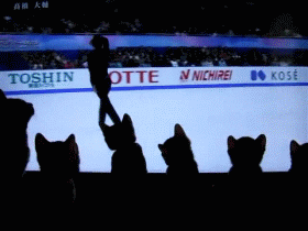 catandskate.gif