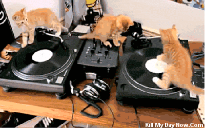 djneko.gif