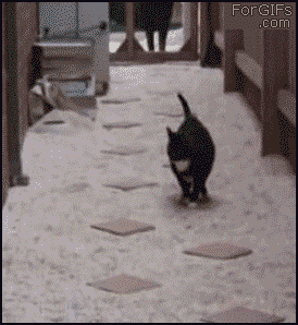 shikiishi.gif