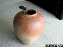 tsuboneko.gif