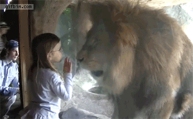 Lion&Girl.gif