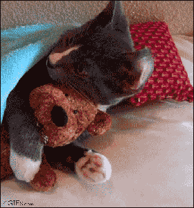 nuigurumi.gif