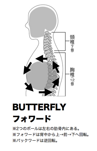 1.butterfly.jpg