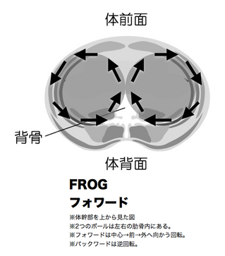 2.frog.jpg