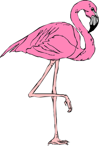 flamingo-46481_960_720.png