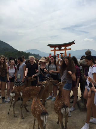 miyajima.jpg