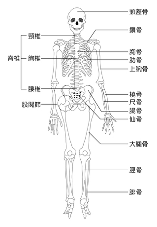 01.全身.jpg