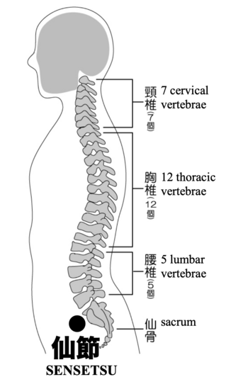 04.仙節.png