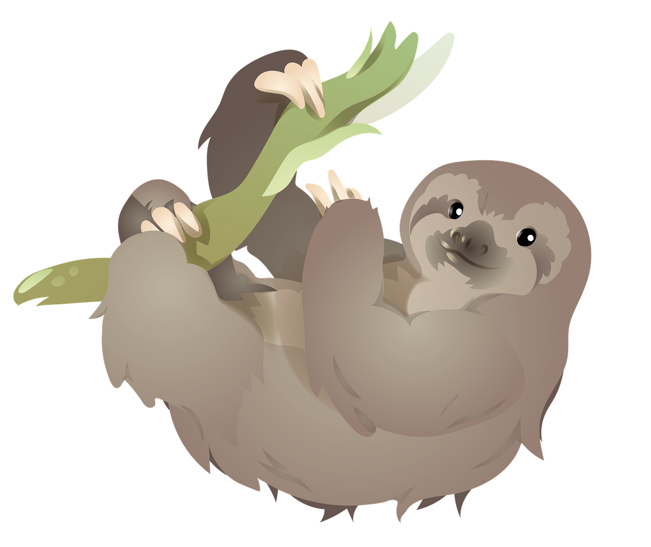 https://www.wpjapan.com/sloth-6995265_1280.png